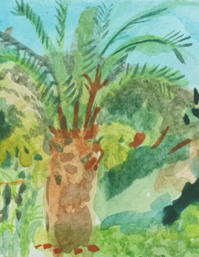 Poseidon Palm, Watercolour on Paper, 14 x 9cm, 2022